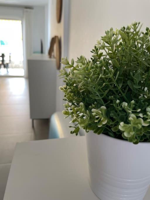 Estudio Primera Linea De Playa Тавернес-де-ла-Вальдігна Екстер'єр фото